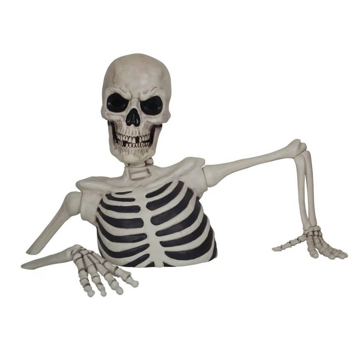 Costco Ground Breaking Skeleton Hats