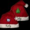Themed & Character Santa Hats