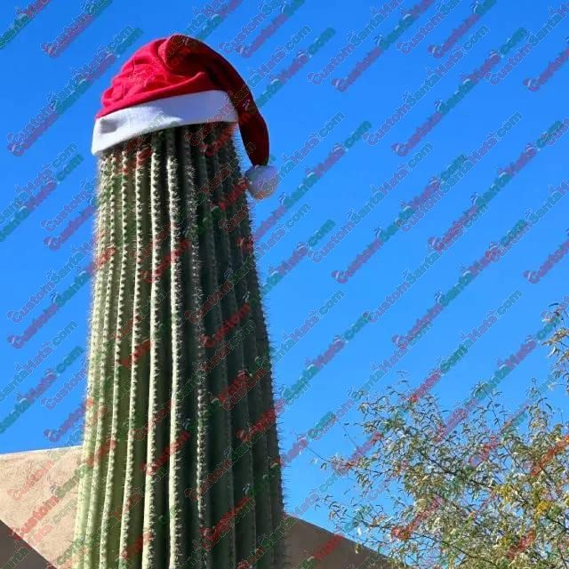 Santa Hats For Cactuses