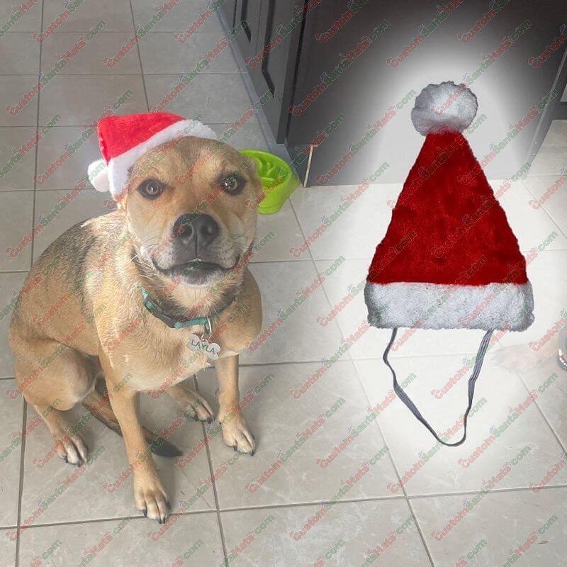 Pet Santa Hat With Strap One-Size