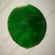 2" Green Pom Pom