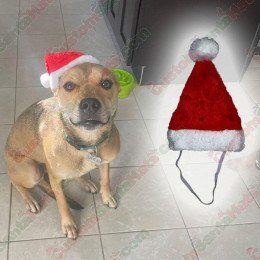 Pet Santa Hat With Strap One-Size