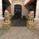 Santa Hats for Lion Statues