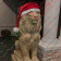 Santa Hats for Lion Statues