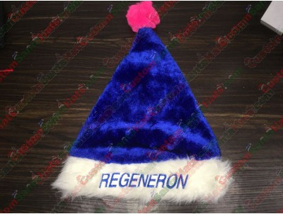 Blue Santa Hat ID-10