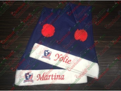 Blue Santa Hat ID-103