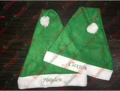 Green Santa Hat ID-14