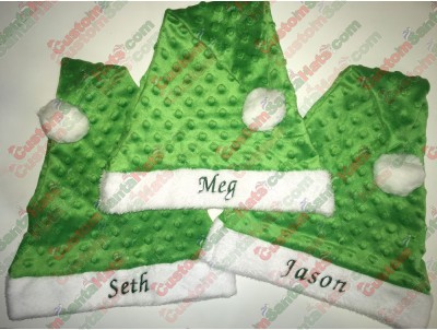 Green Santa Hat ID-38