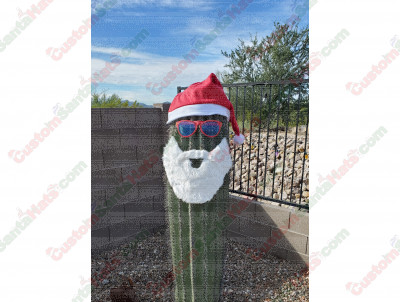 Santa Hat Cactus